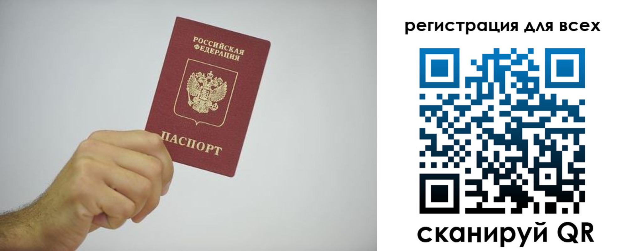 прописка гарантия в Курске