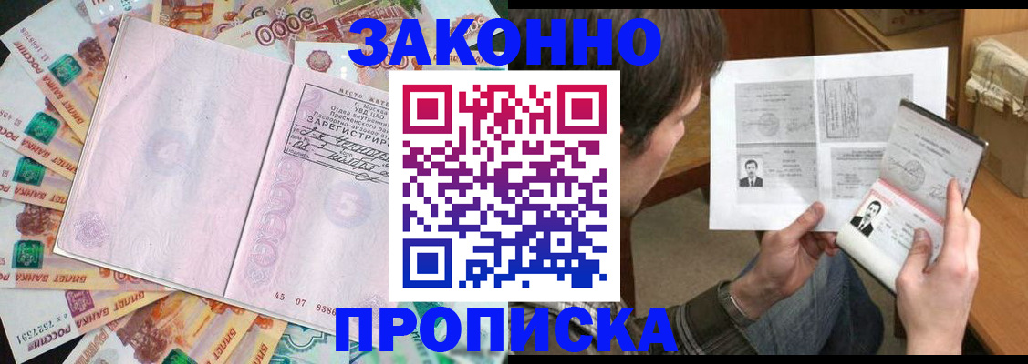 прописка для школы в Курске